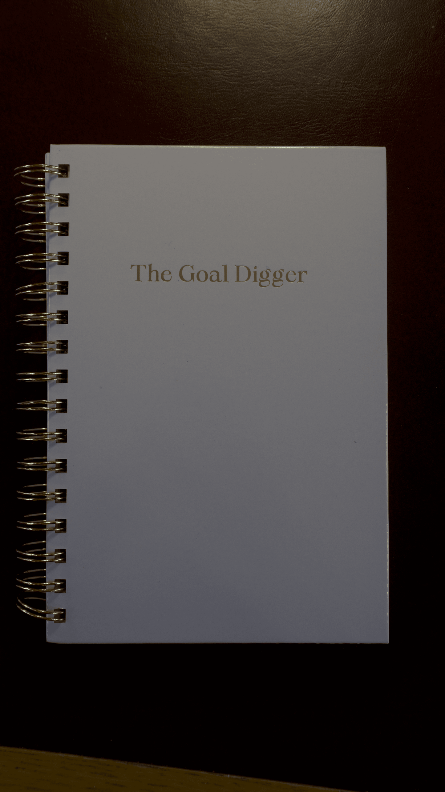 The Goal Digger